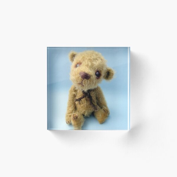 Kenny - Handmade bear from Teddy Bear Orphans Acrylic Block