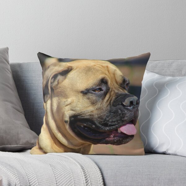 Item preview, Bull Mastiff Pup designed and sold by Gilda Axelrod.