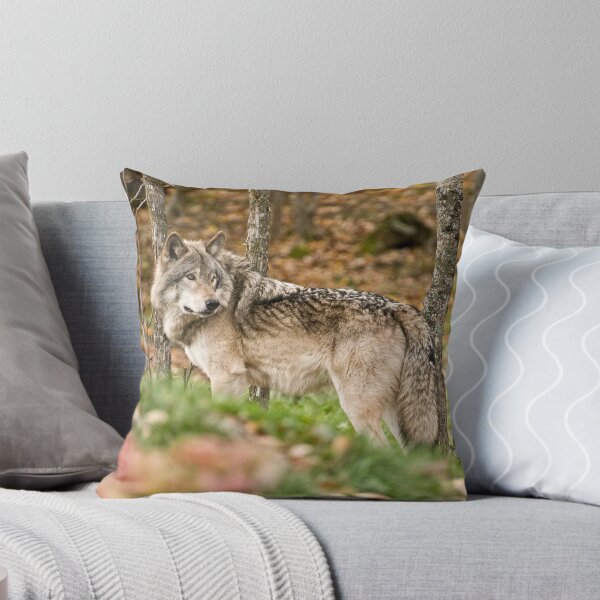 Item preview, A Watchful Eye designed and sold by Tracey  Dryka.