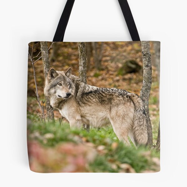 Item preview, A Watchful Eye designed and sold by Tracey  Dryka.