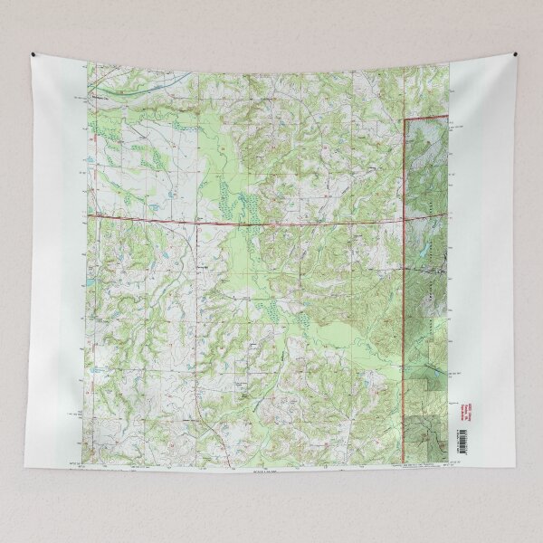 Item preview, USGS TOPO Map Mississippi MS Canaan 335430 2000 24000 designed and sold by WetdryvacRBO2.
