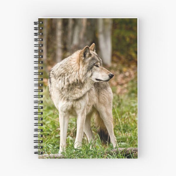 Item preview, The Protector designed and sold by Tracey  Dryka.