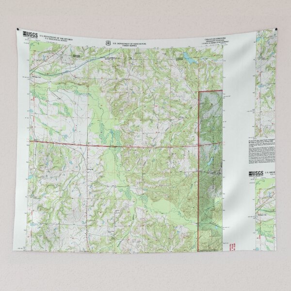 Item preview, USGS TOPO Map Mississippi MS Canaan 335430 2000 24000 designed and sold by WetdryvacRBO2.
