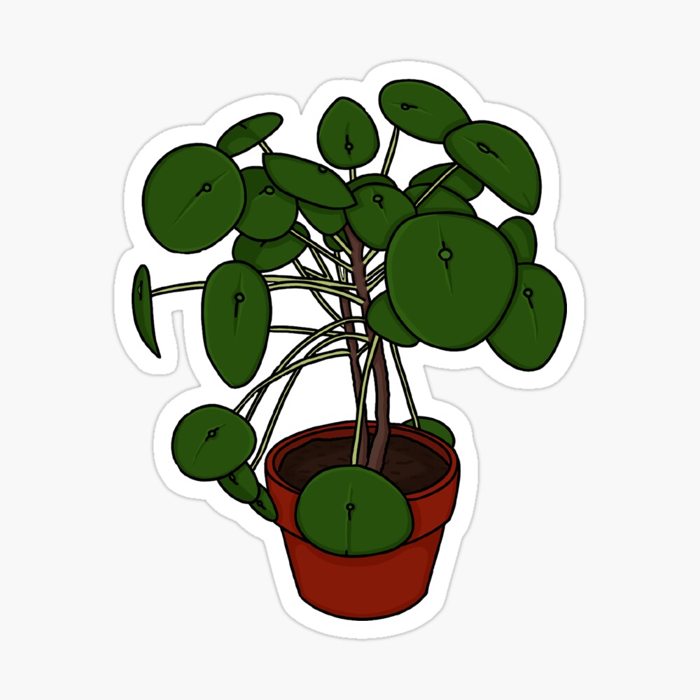 Chinese Money Tree Cartoon Chinese Money Tree Cartoon