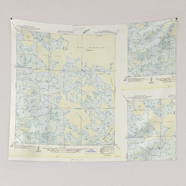 Item preview, USGS TOPO Map Louisiana LA Lake Eugenie 333897 1946 31680 designed and sold by WetdryvacRB01.