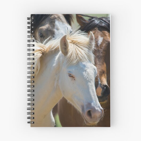 Item preview, Colt with blue eyes  designed and sold by Nicole  Markmann Nelson.