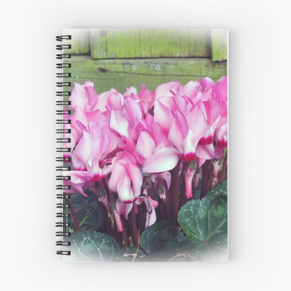 Item preview, Pink Cyclamen..............Lyme, Dorset.UK designed and sold by lynn carter.