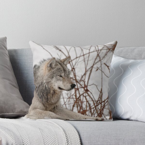 Item preview, Ponder designed and sold by Tracey  Dryka.