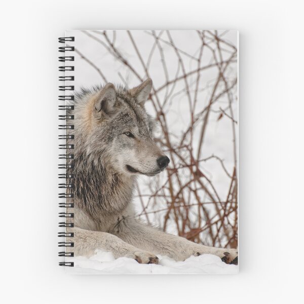 Item preview, Ponder designed and sold by Tracey  Dryka.