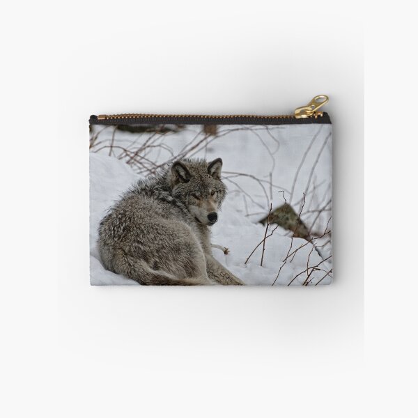 Item preview, Timberwolf - Parc Omega, Montebello designed and sold by Tracey  Dryka.