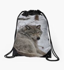 Timberwolf - Parc Omega, Montebello Drawstring Bag