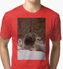 Tranquil Tri-blend T-Shirt