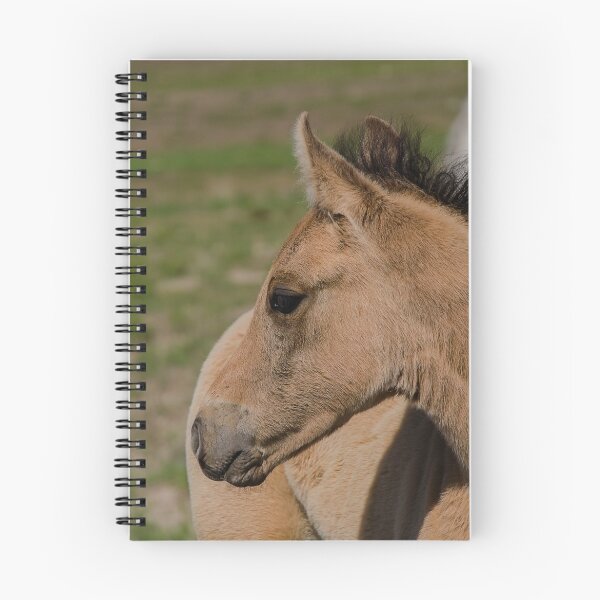 Item preview, What's over there?  designed and sold by Nicole  Markmann Nelson.