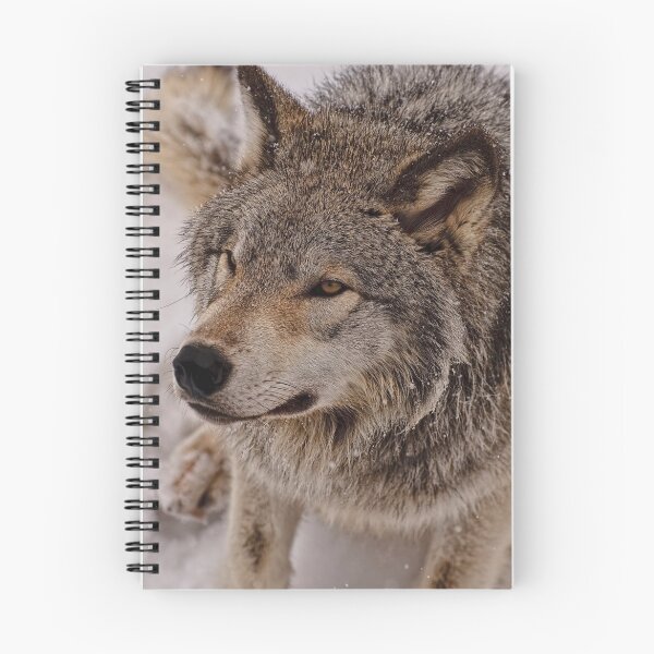 Artikelvorschau, What Big eyes you have Grandma!! - Timberwolf entworfen und verkauft von Tracey Dryka.