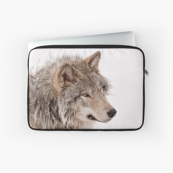 Item preview, Timberwolves - Parc Omega, Montebello, PQ designed and sold by Tracey Dryka.