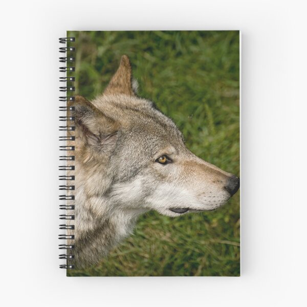 Item preview, Timberwolves - Parc Omega, Montebello, PQ designed and sold by Tracey  Dryka.