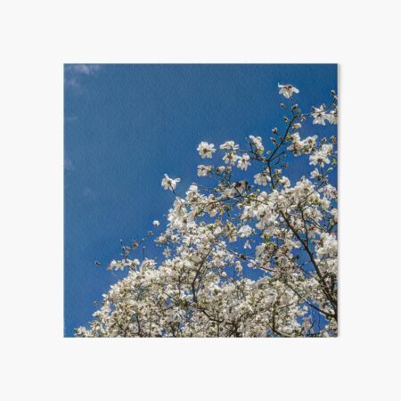 Item preview, Magnolia treetop designed and sold by Weston  Westmoreland.