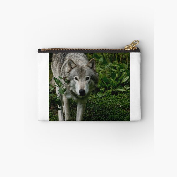 Artikelvorschau, Timberwolves - Parc Omega, Montebello, PQ entworfen und verkauft von Tracey Dryka.