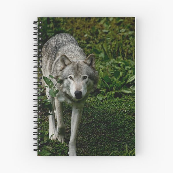 Artikelvorschau, Timberwolves - Parc Omega, Montebello, PQ entworfen und verkauft von Tracey Dryka.