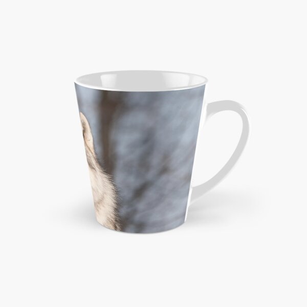 Item preview, Investigation designed and sold by Tracey  Dryka.