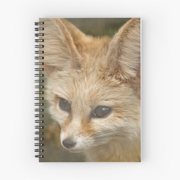 Item preview, Fennec Fox designed and sold by Zoozwear Apparel.