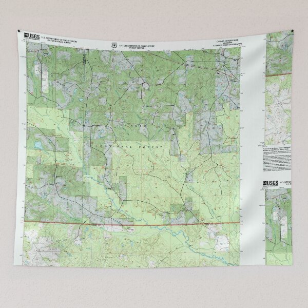 Item preview, USGS TOPO Map Mississippi MS Carnes 335439 2000 24000 designed and sold by WetdryvacRBO2.