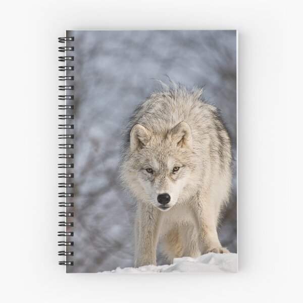 Item preview, Eagerness designed and sold by Tracey  Dryka.