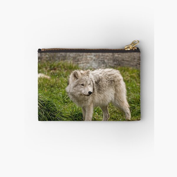 Item preview, Investigating  designed and sold by Tracey  Dryka.