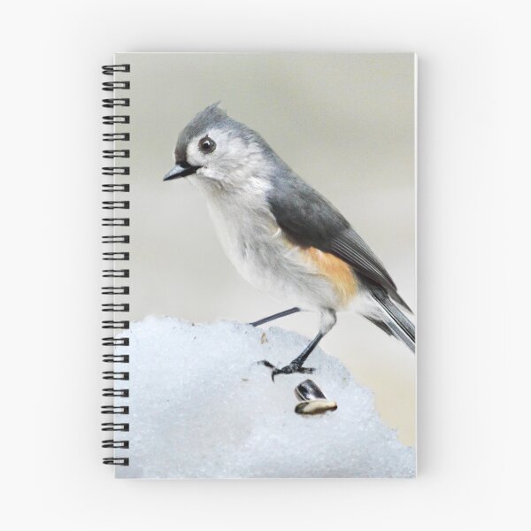 Item preview, Tufted Titmouse in Winter designed and sold by Laurie Minor.