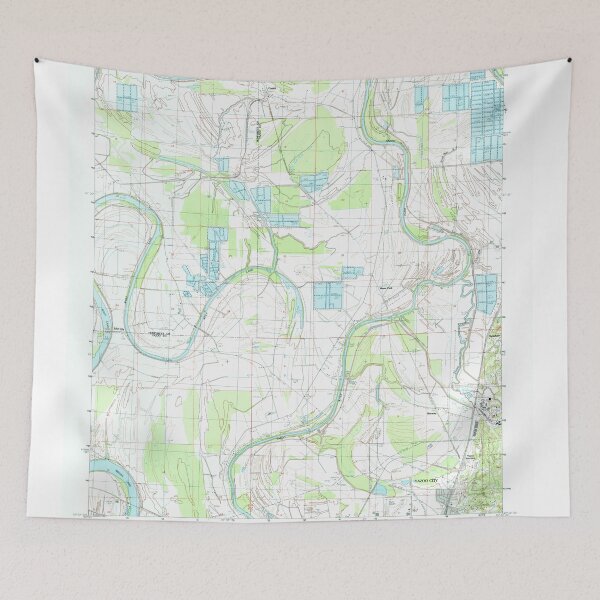 Item preview, USGS TOPO Map Mississippi MS Carter 335440 1988 24000 designed and sold by WetdryvacRBO2.