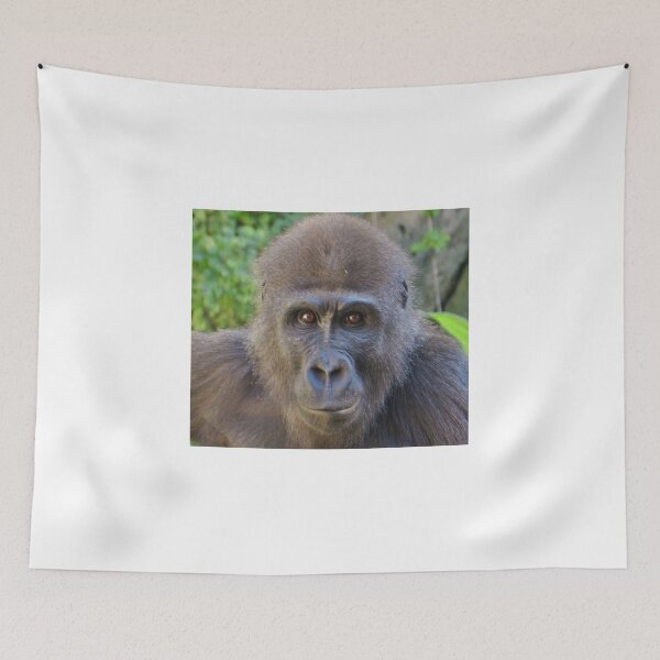 Item preview, Bonobo designed and sold by Zoozwear Apparel.