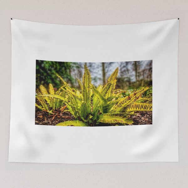 Item preview, Hart's Tongue Fern designed and sold by Colin Metcalf.