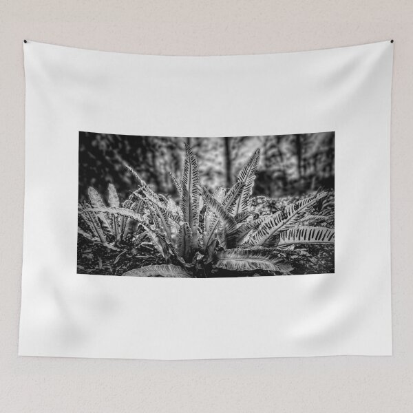 Item preview, Hart's Tongue Fern in Mono designed and sold by Colin Metcalf.