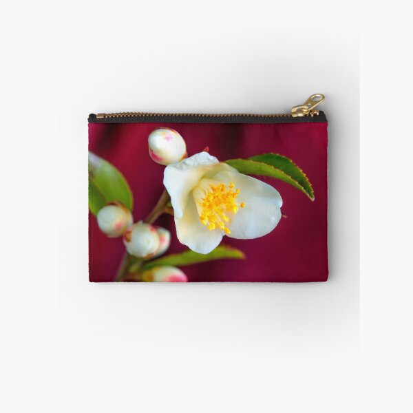 Item preview, Camellia Cupido flower designed and sold by fardad.