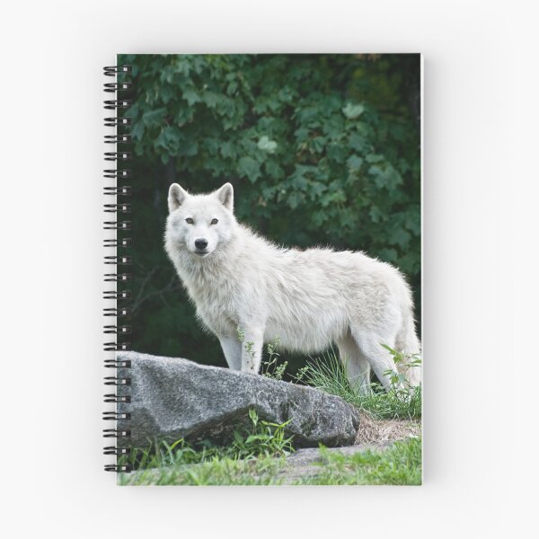Item preview, Arctic Wolf  designed and sold by Tracey  Dryka.