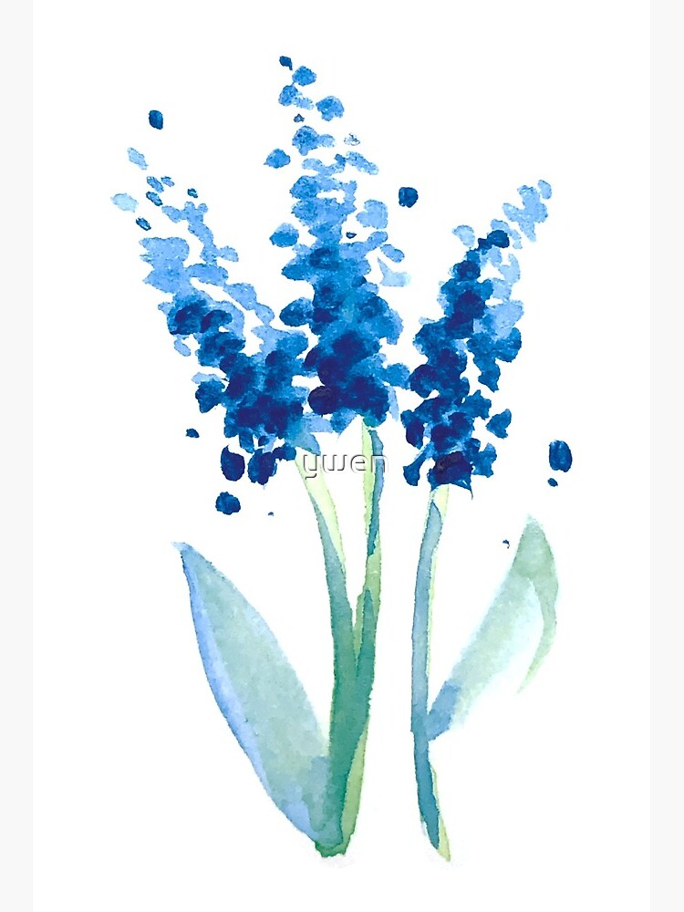Salvia Farinacea - Blue" Art Board Print By Ywen | Redbubble