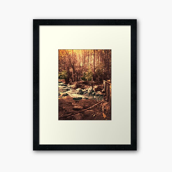 Item preview, Toorongo River, Noojee designed and sold by Roz McQuillan Fine Art & Photography.