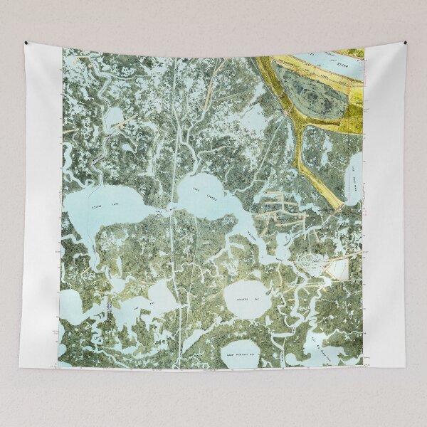 Item preview, USGS TOPO Map Louisiana LA Lake Laurier 332489 1973 24000 designed and sold by WetdryvacRB01.