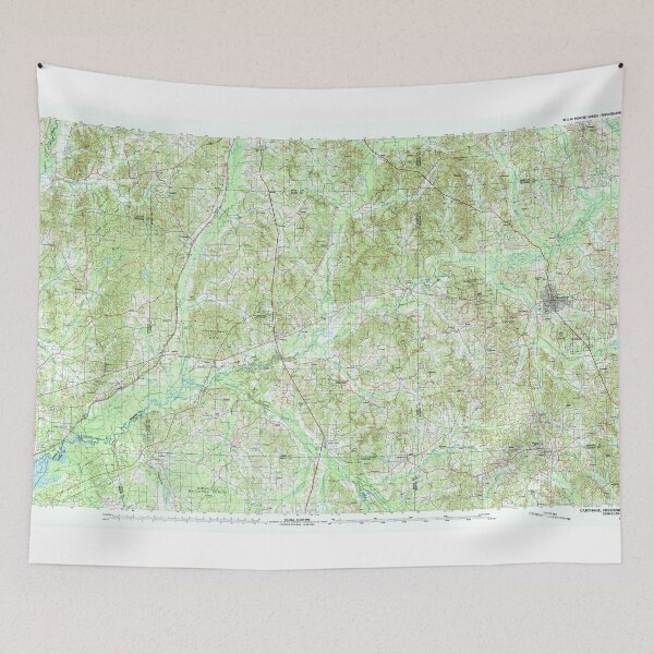 Item preview, USGS TOPO Map Mississippi MS Carthage 337198 1994 100000 designed and sold by WetdryvacRBO2.