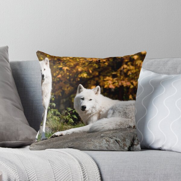 Item preview, Arctic wolves - Parc Omega, Montebello, PQ designed and sold by Tracey  Dryka.
