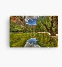 Mirror Mirror Canvas Print