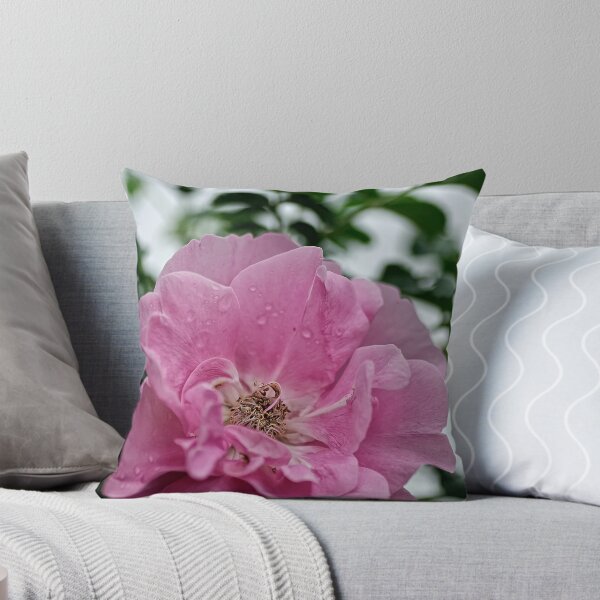 Item preview, Jens Munk - Explorer Rose designed and sold by Tracey Dryka.