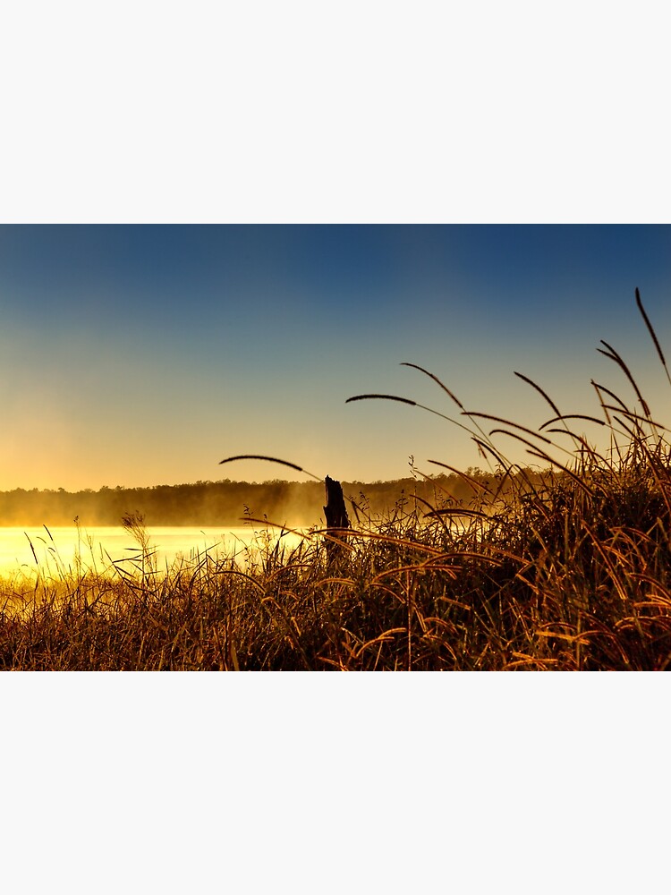 Misty morning sunrise by fardad