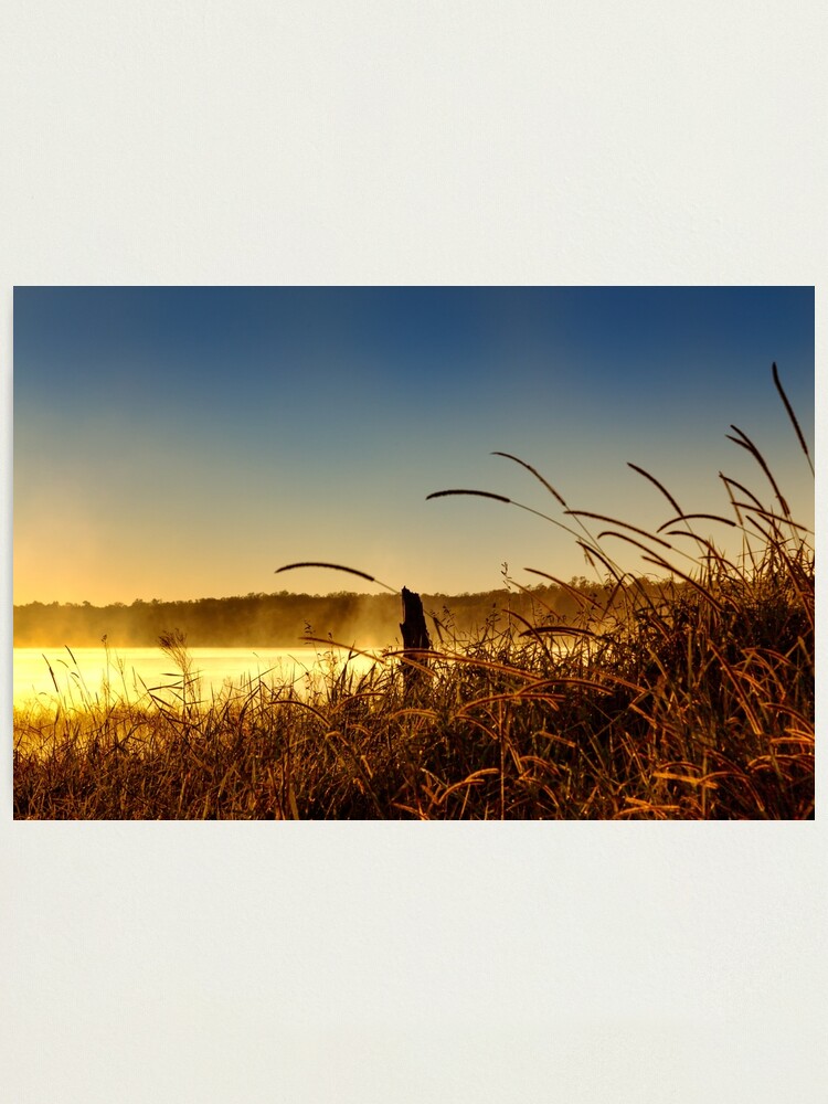 Alternate view of Misty morning sunrise Photographic Print