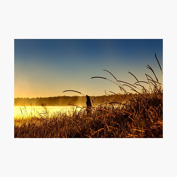 Misty morning sunrise Photographic Print