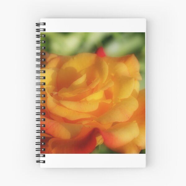 Item preview, Rio Samba - my garden, Ottawa designed and sold by Tracey  Dryka.