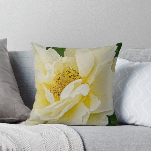 Item preview, rose - Experimental Farms, Ottawa, Ontario designed and sold by Tracey  Dryka.