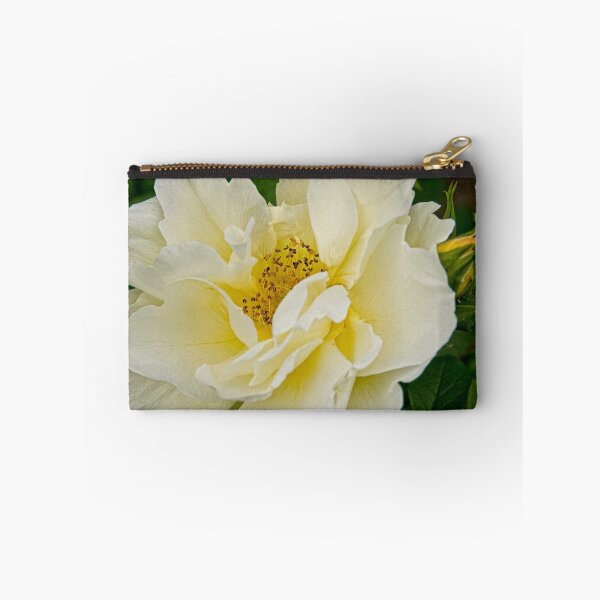 Item preview, rose - Experimental Farms, Ottawa, Ontario designed and sold by Tracey  Dryka.