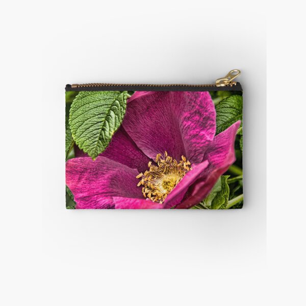 Item preview, rose - Experimental Farms, Ottawa, Ontario designed and sold by Tracey  Dryka.