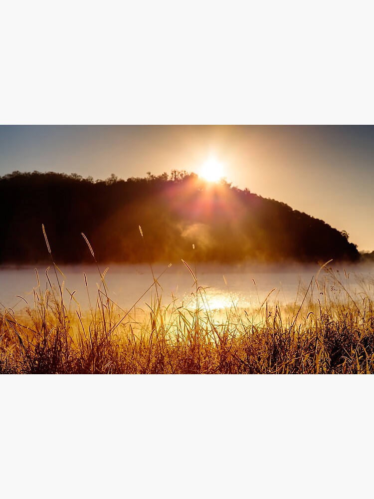 Sunrise by fardad